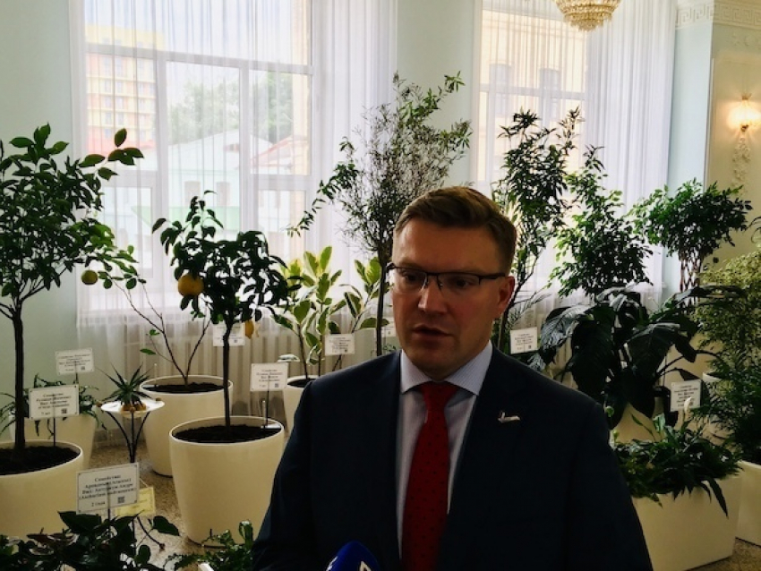 Ставропольской экономике не хватает «морковок»