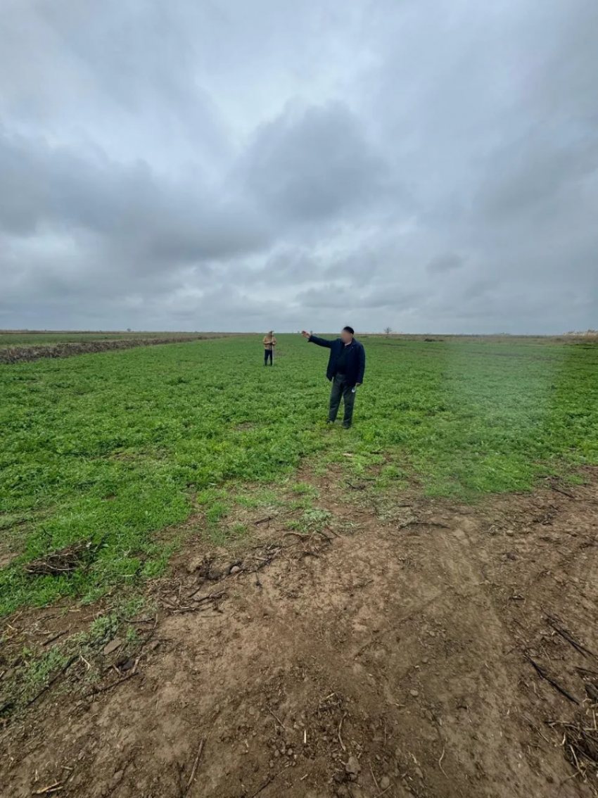 Овощная афера на 9,3 миллиона окончилась для ставропольского агрария реальным сроком