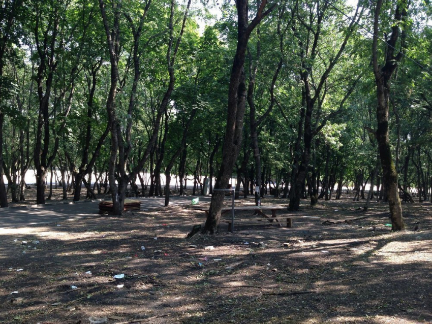 Пятигорчане недовольны количеством мусора, который оставили участники «Машука"
