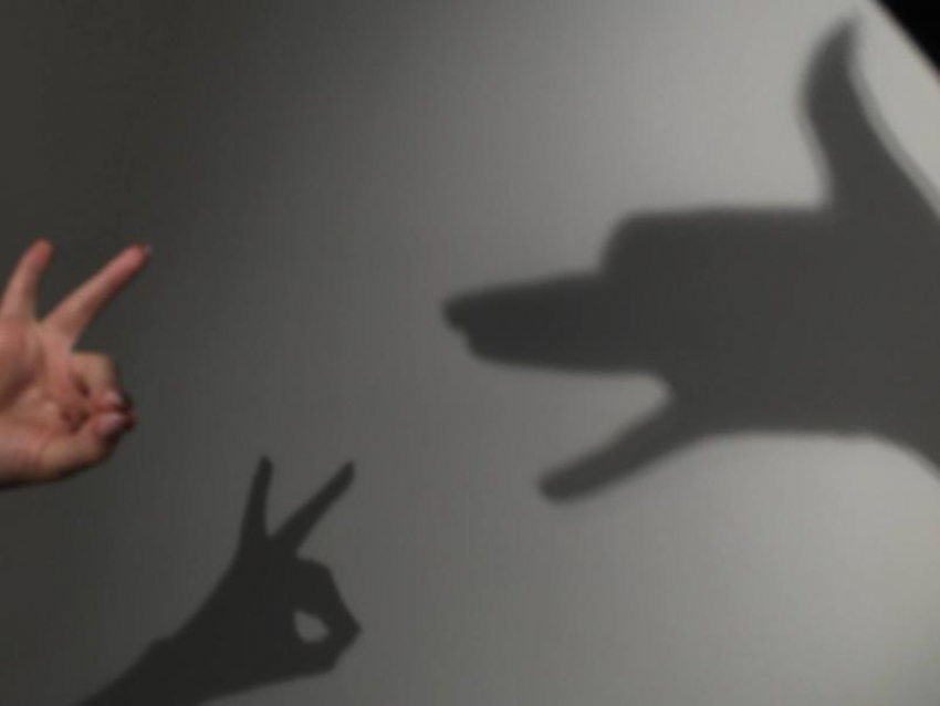 В понедельник несколько улиц Ставрополя останутся без света: список адресов