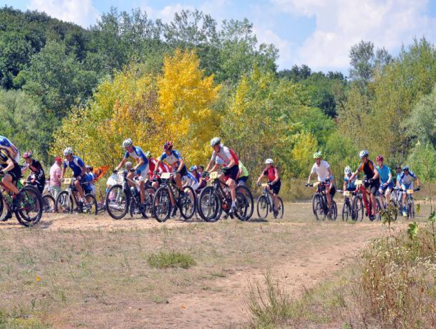 Команда из Ставрополя победила на соревнованиях по маунтинбайку
