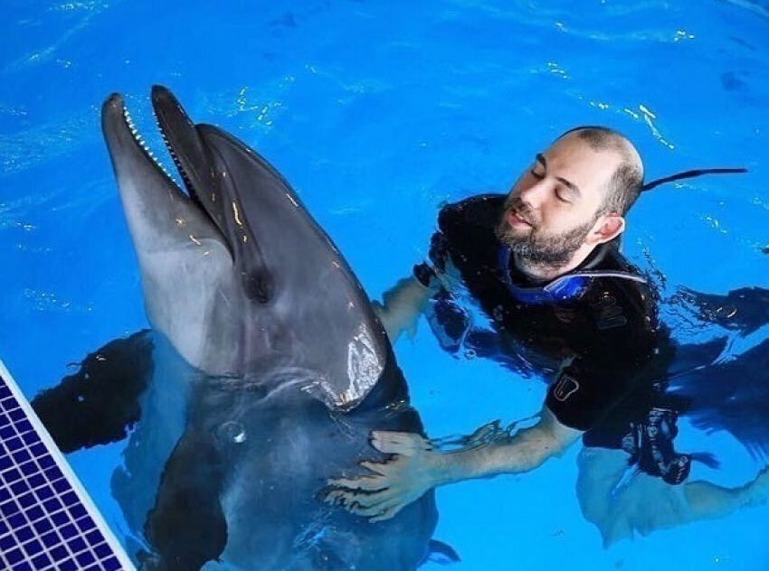 Семен Слепаков из Пятигорска рассказал, как мучил дельфина 