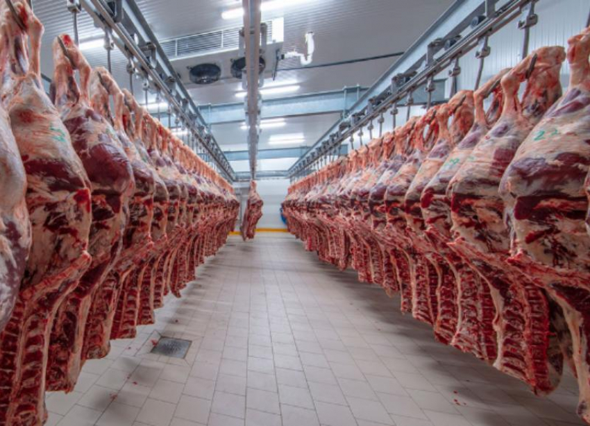 Из-за сокрытия факта заражения мяса, «ЮгРосПром» мог поставлять зараженный товар на Ставрополье  