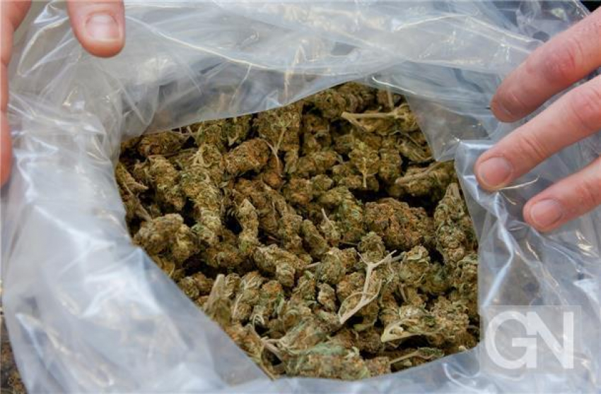 На Ставрополье дилер перевозил полкило наркотиков в такси