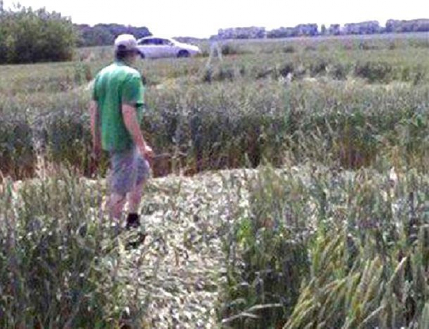 Загадочную инопланетную криптограмму обнаружил на полях преподаватель из Ставрополя