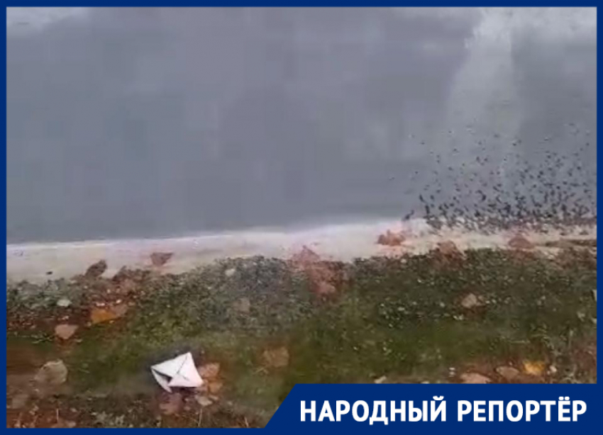 «Рабочих 10 дней нет»: после капремонта разваливающийся дом в поселке Ставрополья заливает