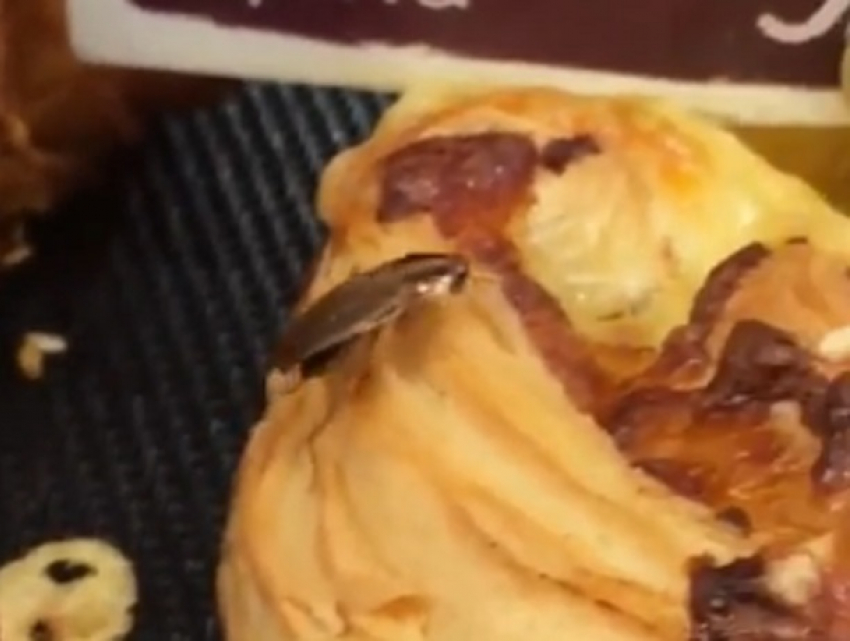 Тараканы бегали по витрине с булочками и попали на видео в Ставрополе 