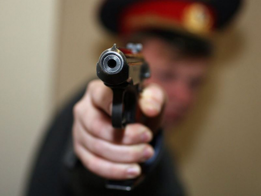 Вскрывать авто, оцеплять дома, стрелять без предупреждения: Правительство РФ  расширяет полномочия полиции