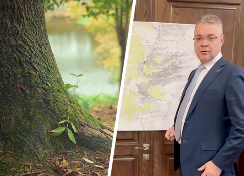 Губернатор Ставрополья: Строительство дороги через Русский лес улучшит его состояние