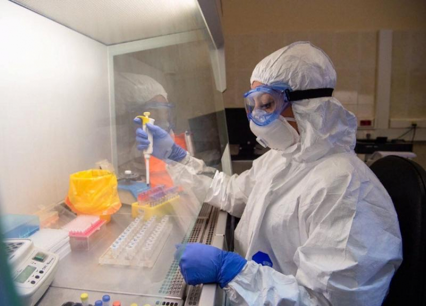 Минздрав: 13 лабораторий Ставрополья проводят анализы на коронавирус