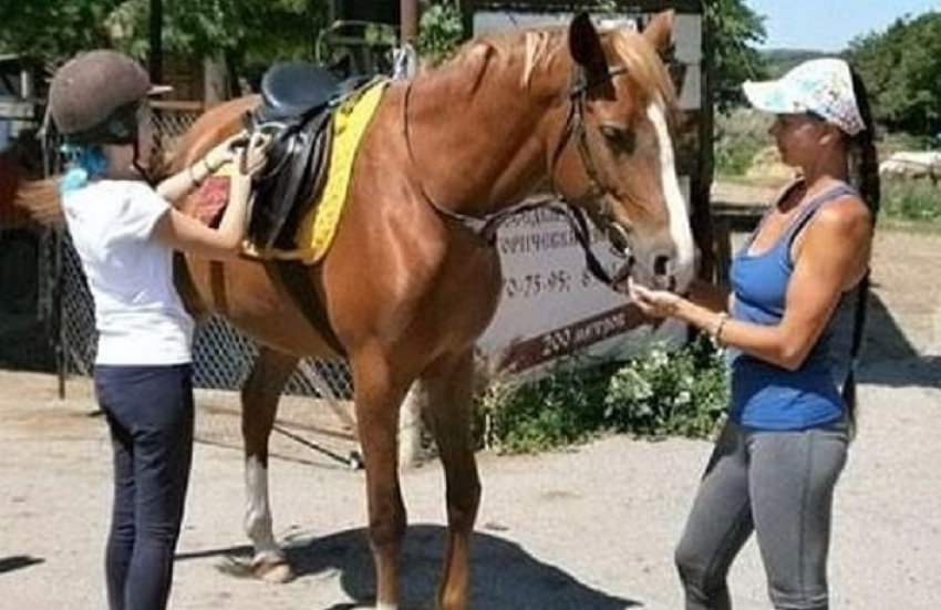 "Недосмотрели": 5 лошадей пропало в конном клубе Ессентуков