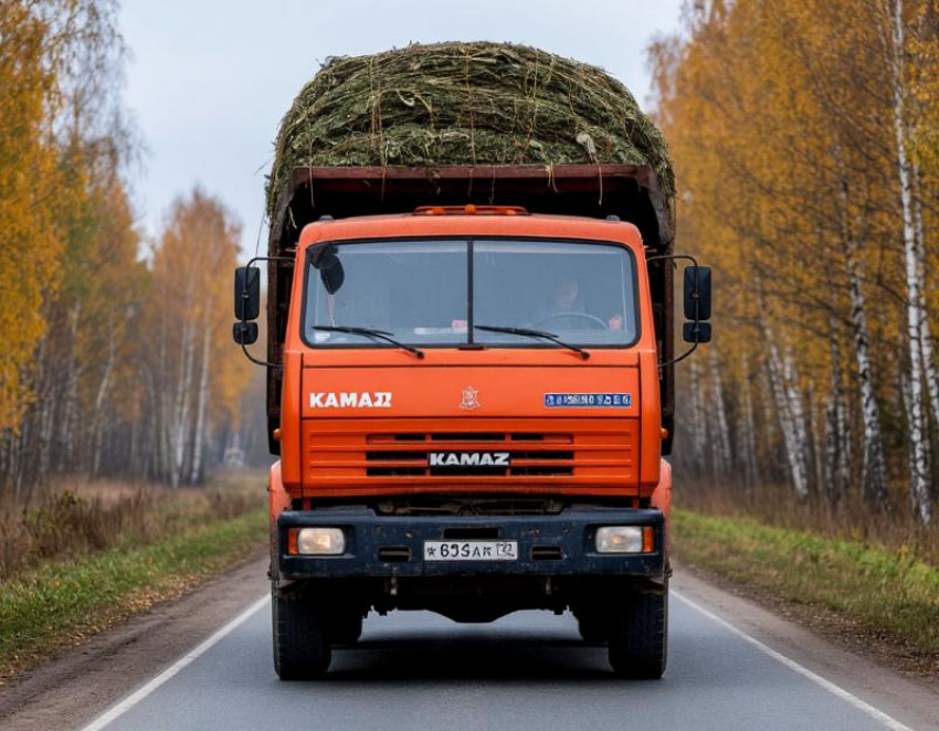 Более 200 тысяч рублей взыскали со ставропольского водителя большегруза за испорченную дорогу