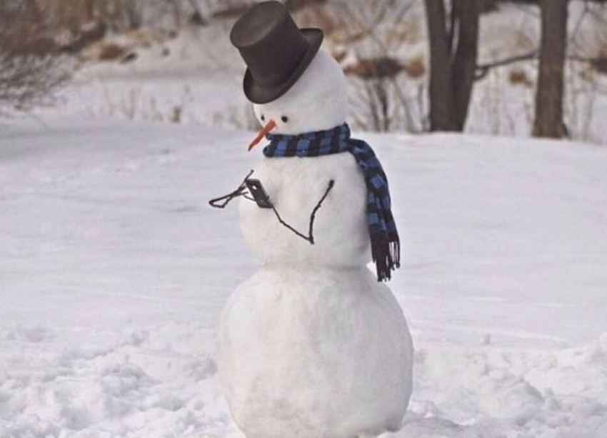 Ставрополь VS Канада: битва снеговиков 