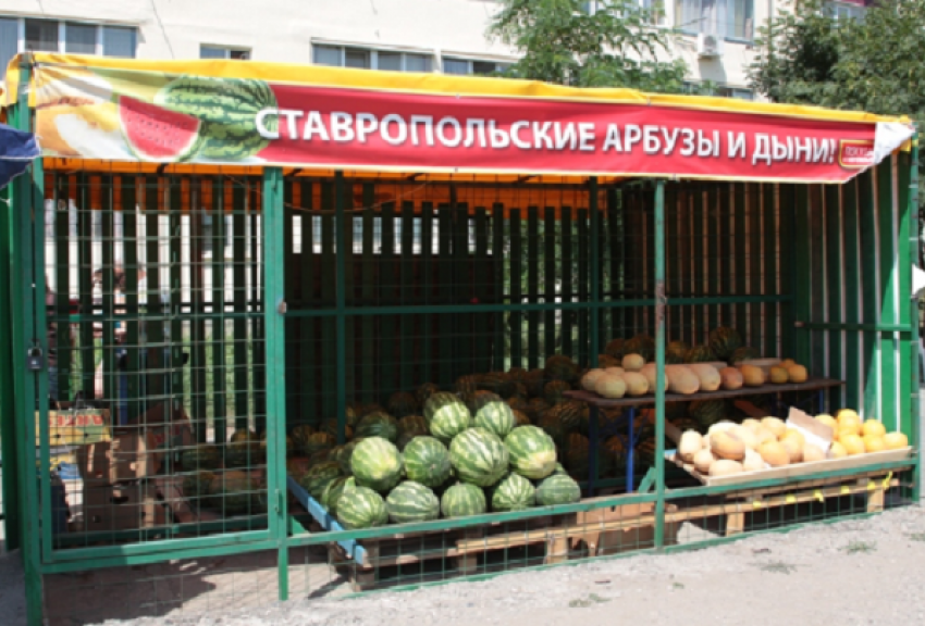 Четверть тонны нелегальных арбузов отправили под пресс в Пятигорске