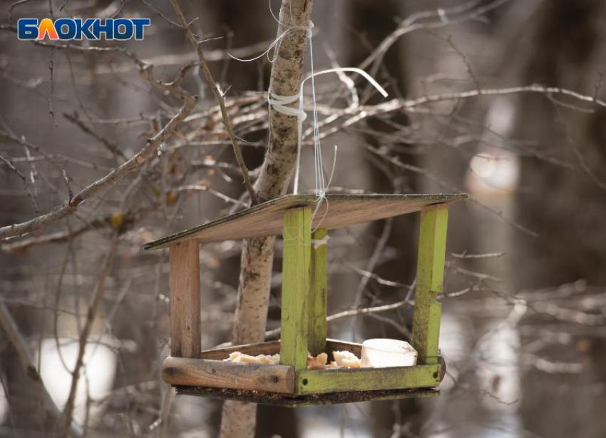 Какая погода ожидается 11 декабря в Ставропольском крае