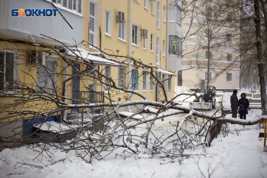 Экстренные службы Ставрополя переведены в режим повышенной готовности из-за сильного ветра