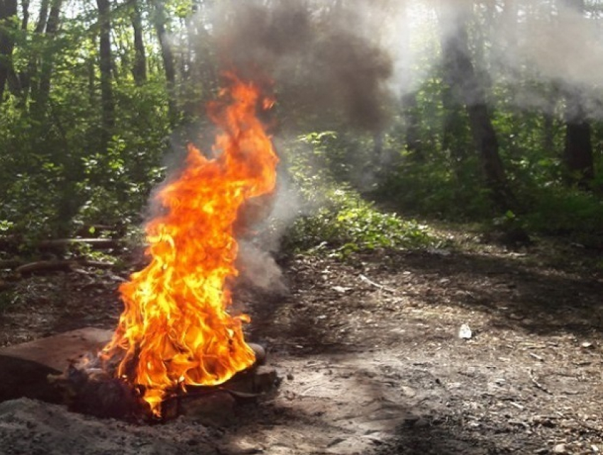 «Приходишь в лес, а тут свинарник»: ставропольцы попросили убирать за собой после пикников 