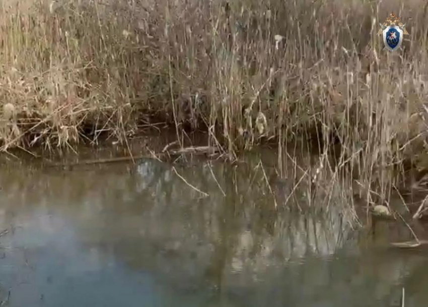 Подробностями гибели 4-летнего мальчика в пойме реки Кура на Ставрополье поделились следователи