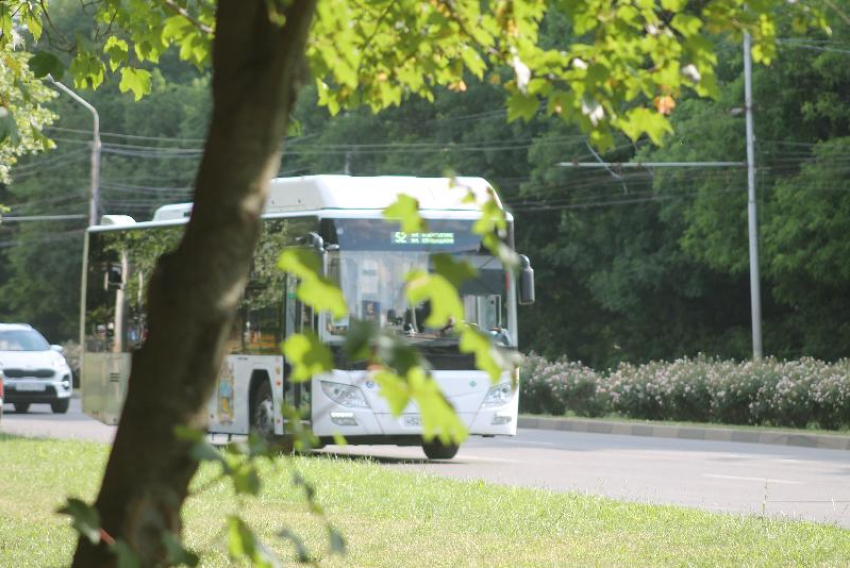 Маршруты автобусов в Ставрополе изменятся во время Российской школьной весны: список