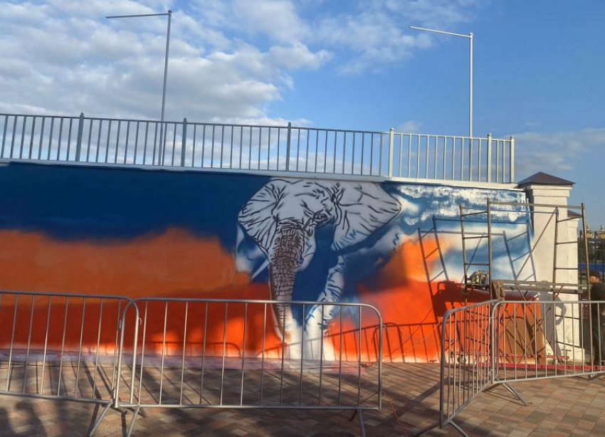 На стену стадиона в Ставрополе вернули граффити со слоном