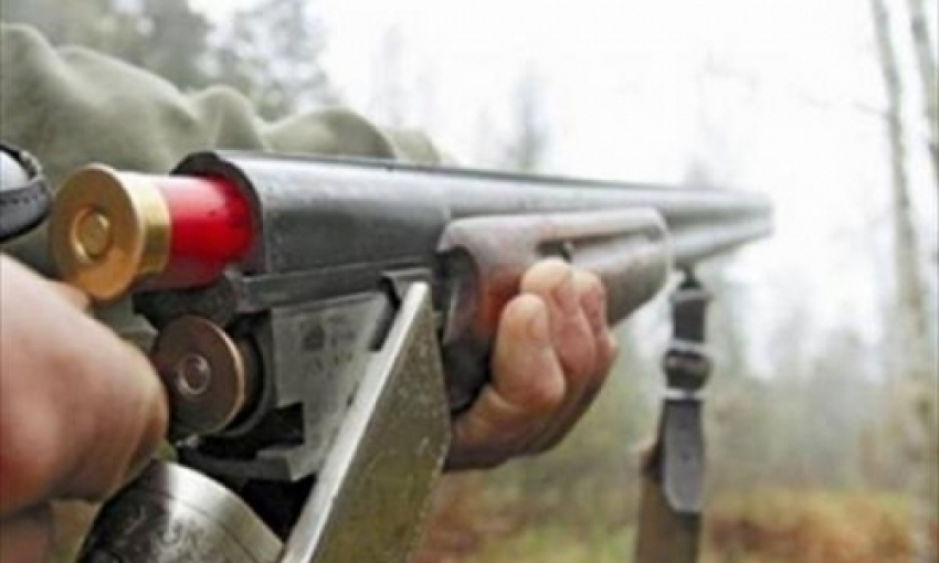 На Ставрополье преступники угрожали ружьем пастуху и застрелили двух овец