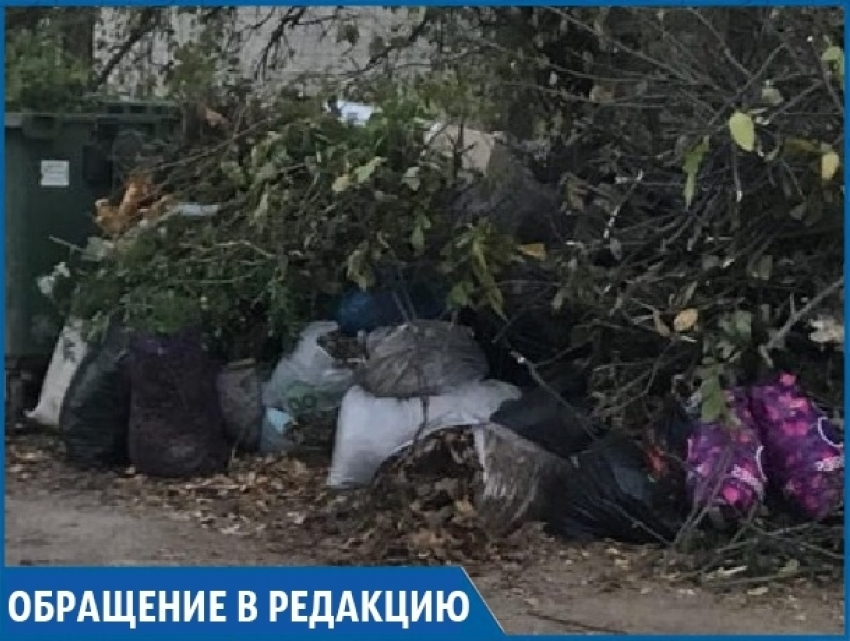 «На три улицы один мусорный контейнер», - жительница Ставрополя