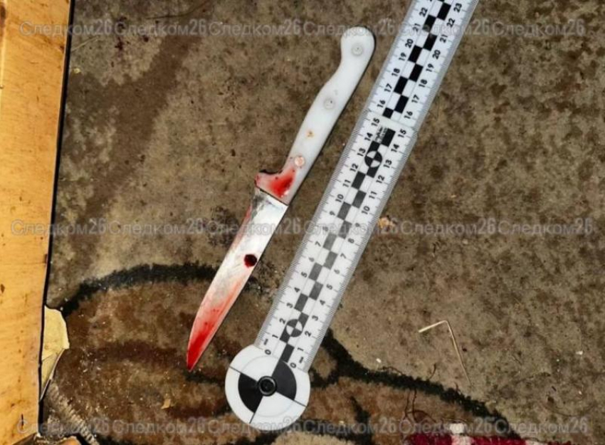 Жителя Изобильного обвиняют в убийстве брата из-за разговора о работе