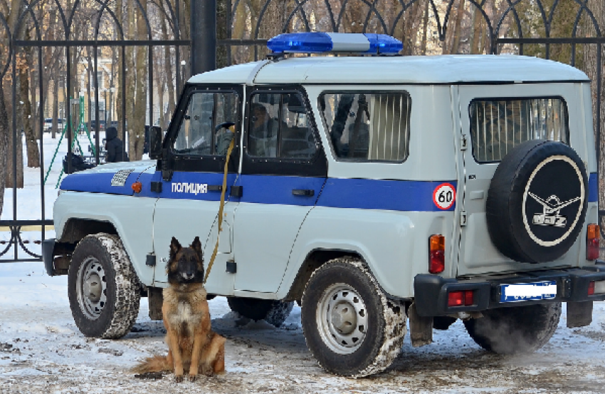 Задержанный на Ставрополье избил полицейского