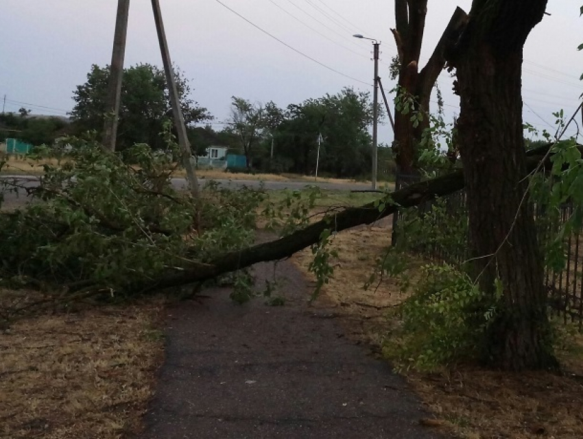 "Половина города осталась без света": в Зеленокумске прошел самый сильный за последнее время ураган 