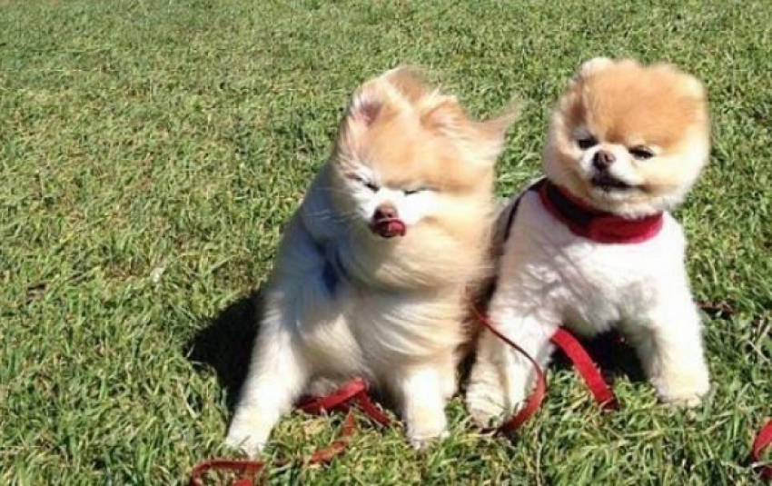 Дождь и сильный ветер ожидаются на Ставрополье в пятницу