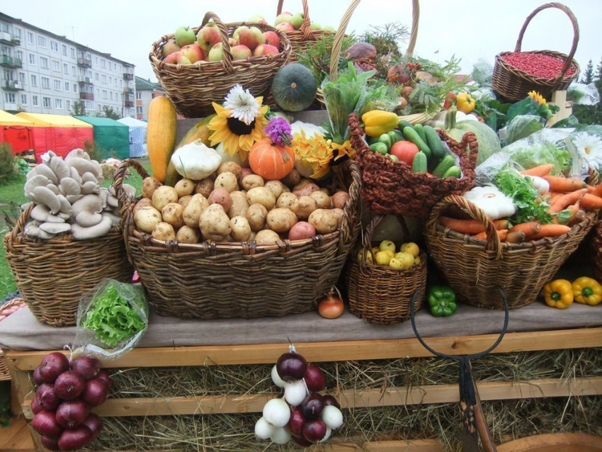 Устроители субботней ярмарки пообещали удивить ставропольцев вкусными продуктами и низкими ценами