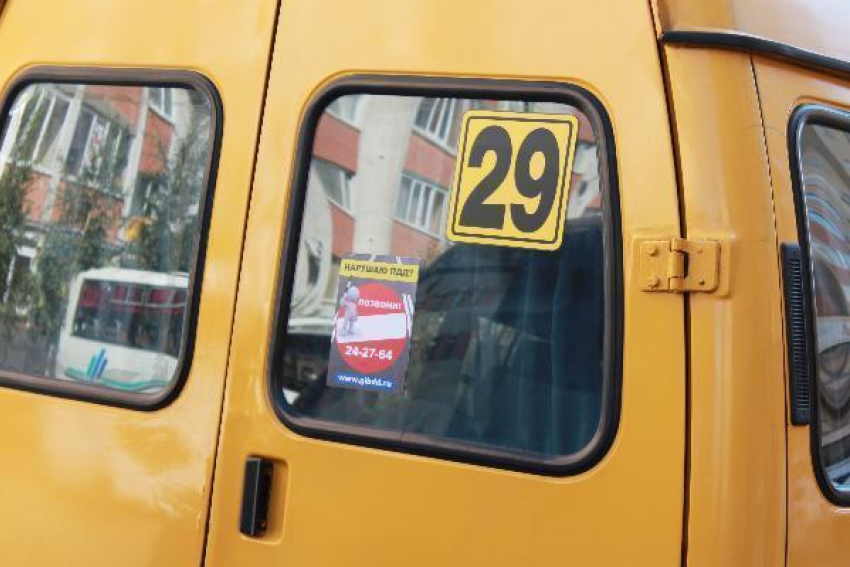 Горячая линия по контролю за водителями маршруток заработает в Ставрополе