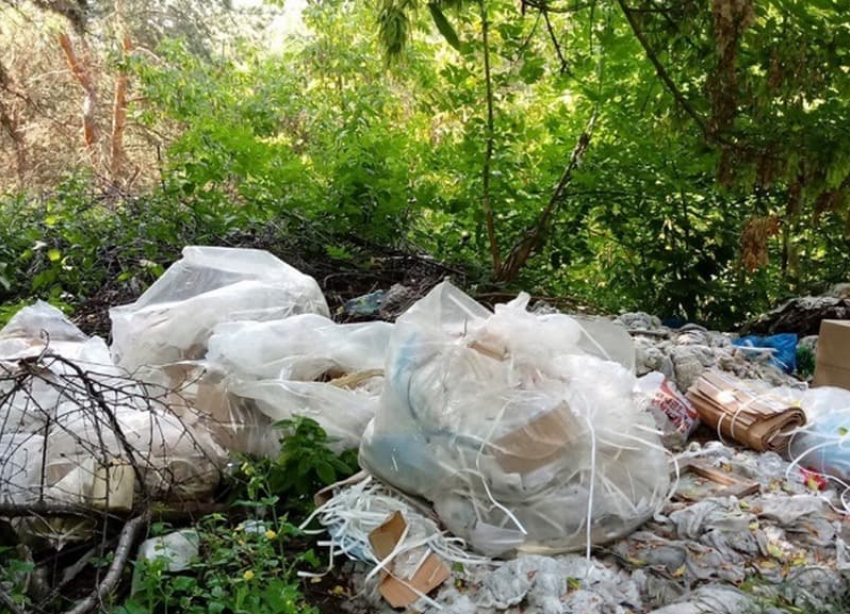«Автора» свалки мусора в лесополосе Ставрополья выдали потерянные документы