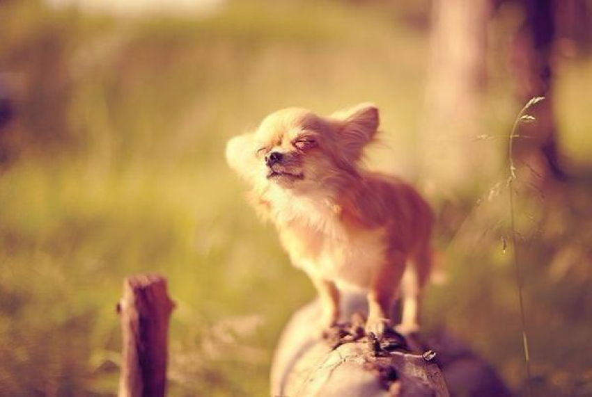 Бабье лето вновь пришло на Ставрополье