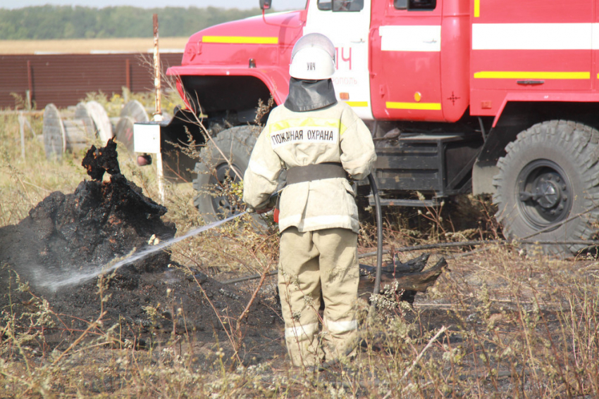 Пожарные ПАСС СК потушили пасеку