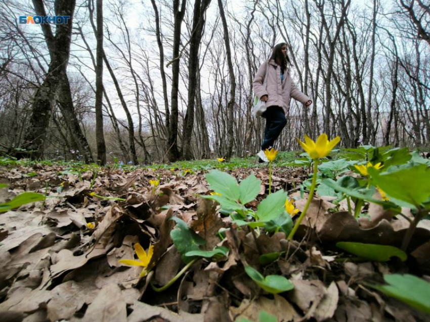  Два населенных пункта Ставрополья вошли десятку самых жарких в России