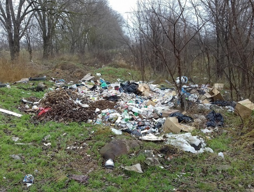Горами мусора завалили окрестности на выезде из Буденновска