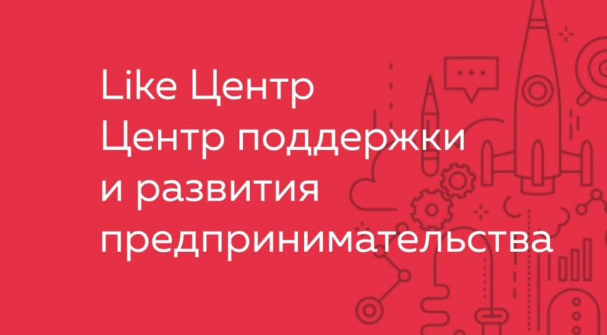 Для чего необходим центр развития и поддержки предпринимательства?