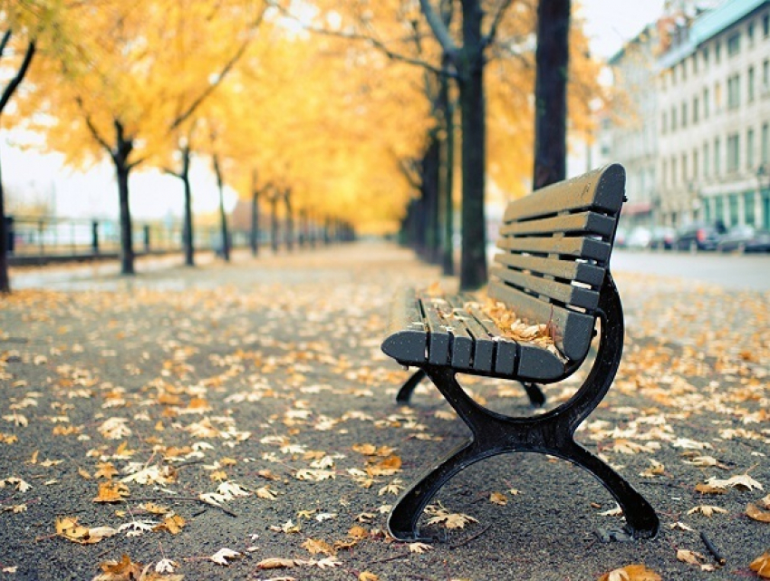 Теплый и пасмурный день ждет Ставрополь в конце рабочей недели 