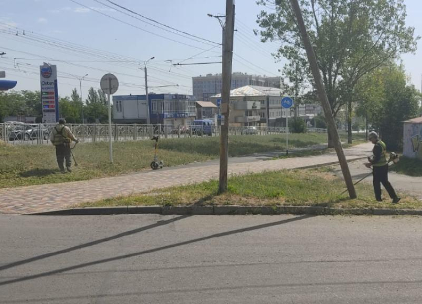 Ставропольские аллергики получили график бомбардировок от амброзии на следующую неделю