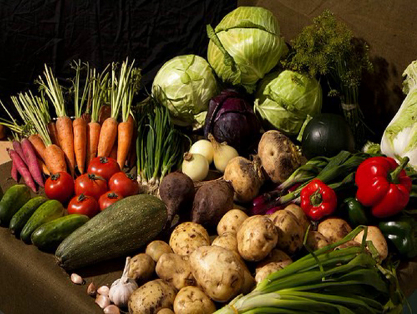 Ставропольцы теперь могут купить свежие овощи с грядок прямо у подъезда