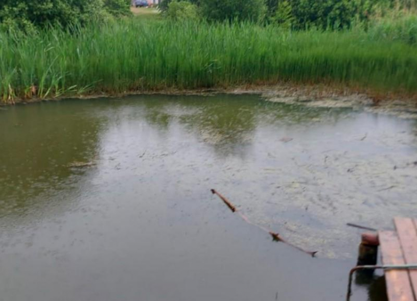 Ребенок утонул в реке Егорлык на Ставрополье