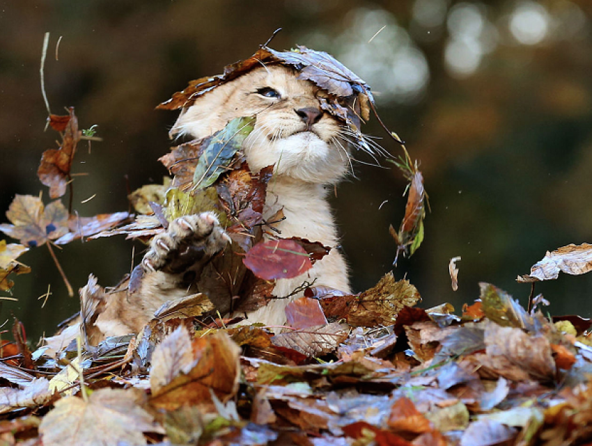 Теплый и дождливый день ждет Ставрополь во вторник 