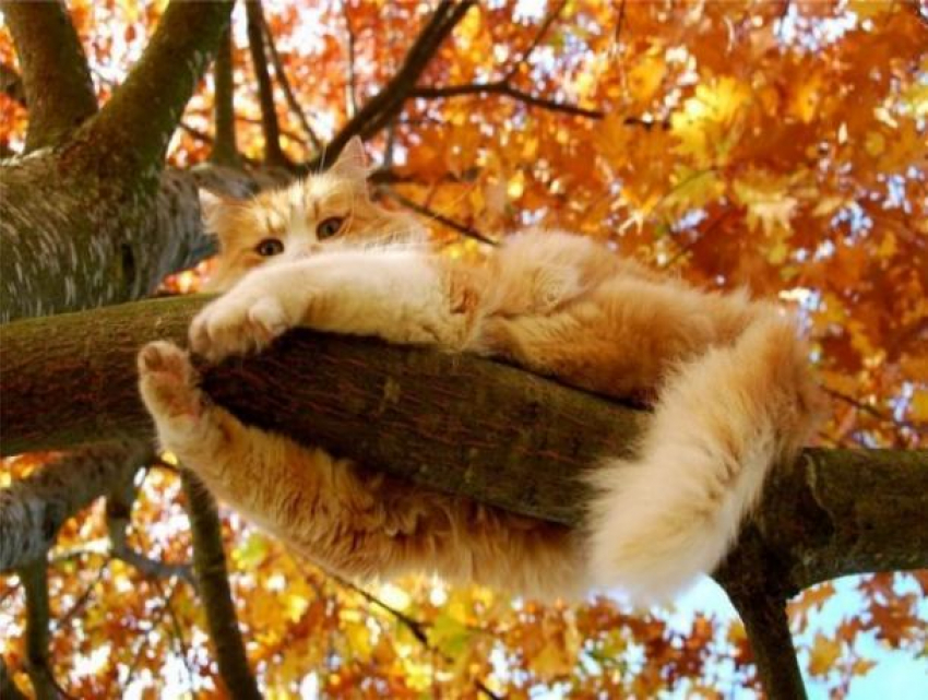 В четверг в Ставрополе будет тепло