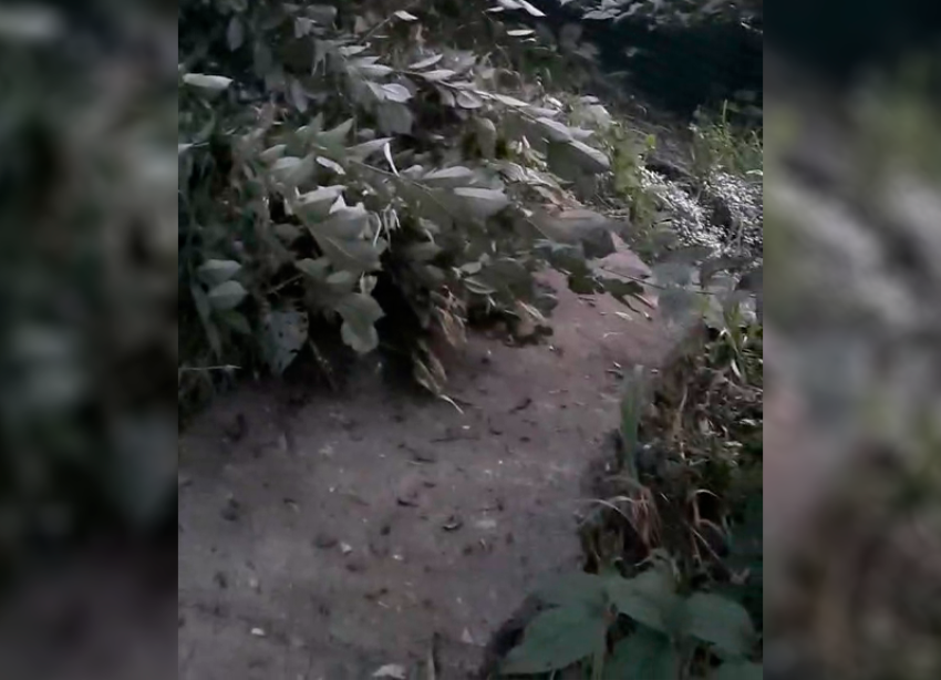 Вода текла по склону, а потом земля съехала во двор: из-за коммунальной аварии в Ставрополе сошел оползень