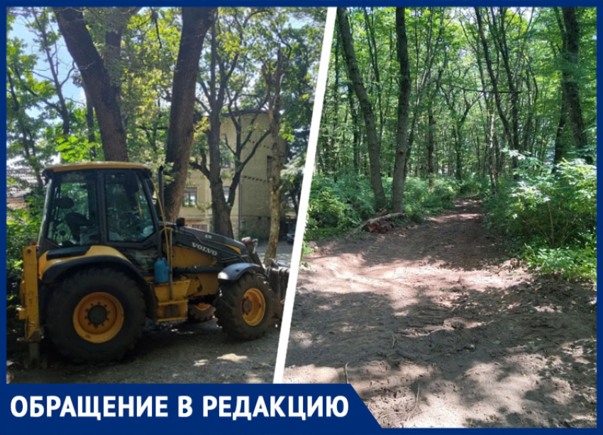 Лес превращается в стройку? Ставропольцы забили тревогу из-за вырубки деревьев в Таманском лесу
