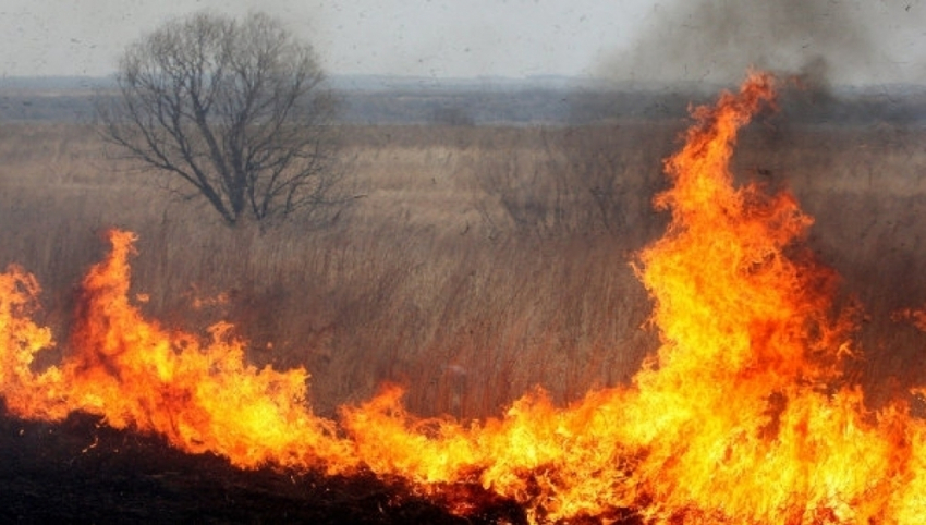 На Ставрополье по вине охотников происходят пожары