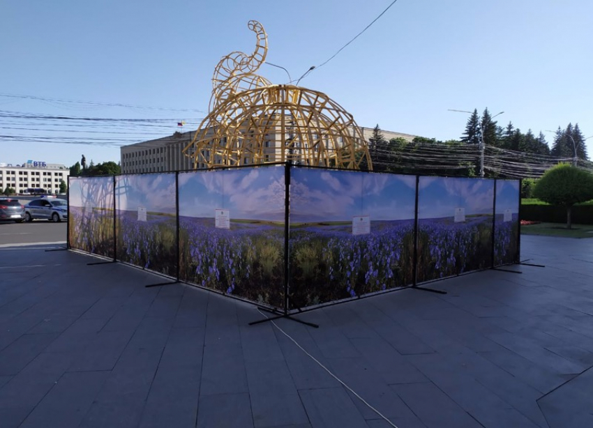 В центре Ставрополя отреставрируют арт-объект «Слон»