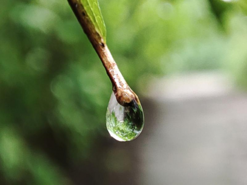 Прохладную ночь и дождливый день пообещали синоптики 10 августа