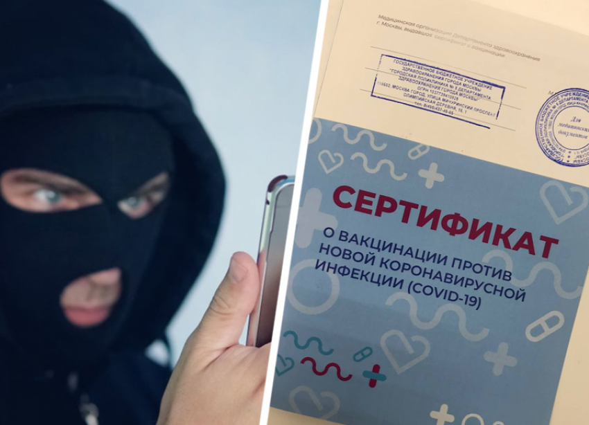 Нелегальный рынок «виртуальных прививок» от CoVID-19 процветает на Ставрополье